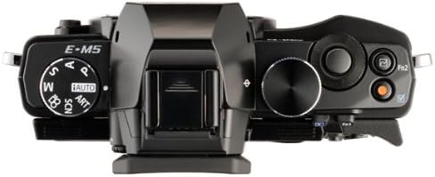 Olympus OM-D E-M5 Mirrorless Digital Camera - Black