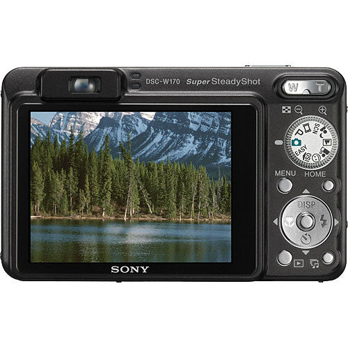 Sony Cyber-shot DSC-W170 Digital Camera - Black