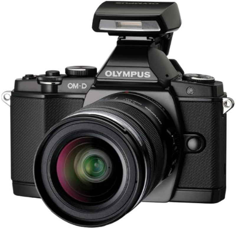 Olympus FL-LM2 Flash with Pouch