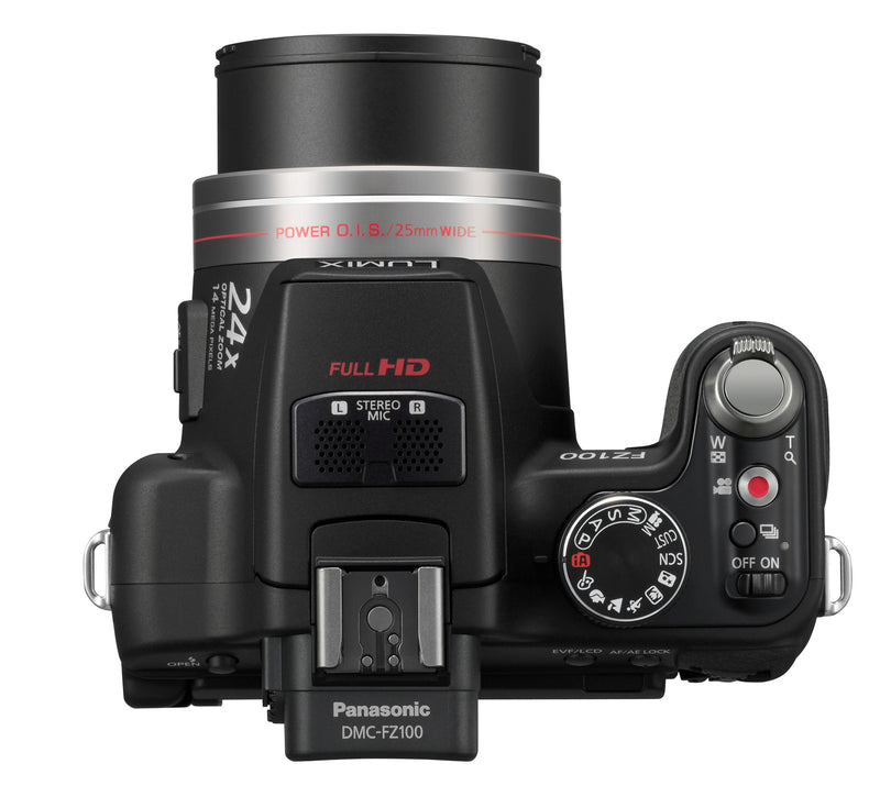 Panasonic Lumix DMC-FZ100 Digital Camera - Black